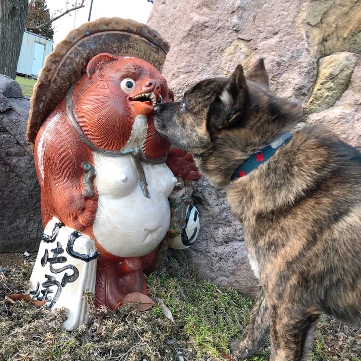 64c3afde 0f0d 4986 a5e1 2dd134dcae26 1519031696170