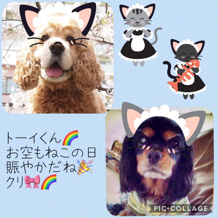 64c4326b 5ac8 4780 91b8 4806fcf091d6 1550841253107