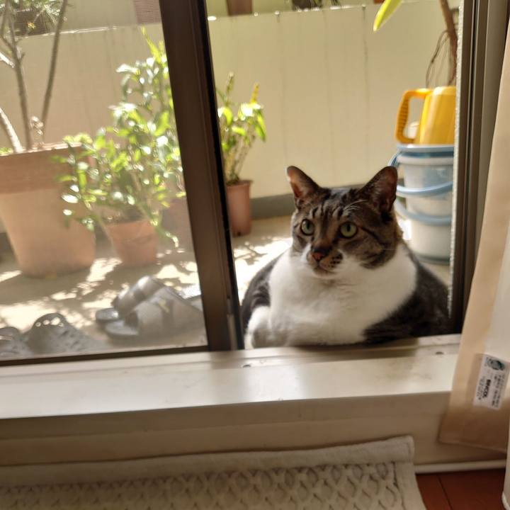 64c465cc c962 4f39 9de5 aeb405f79964 1590282189638