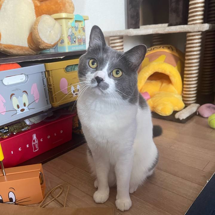 64c49656 d307 4558 b2d8 dd4df685b0ed 1693020201283