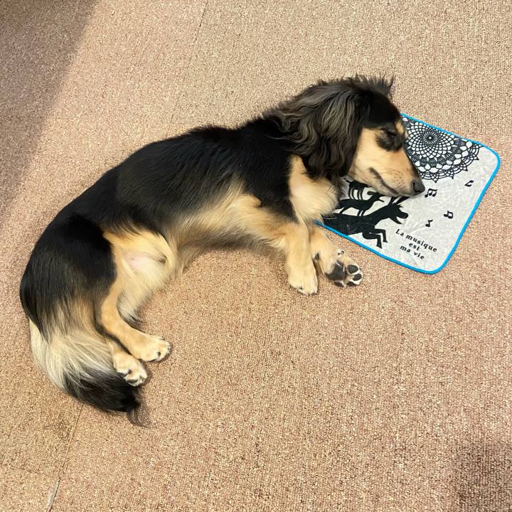 64c496f6 7a73 4da9 b655 10afa249d2e4 1689217729372