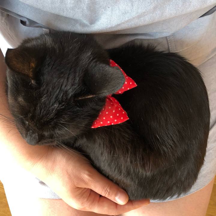 64c4ac91 9336 499a a887 db52b7693ec6 1553994933407