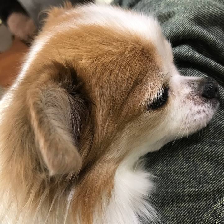 64c4b6da cb37 44f9 9066 cfd9cf755e8c 1511011172274