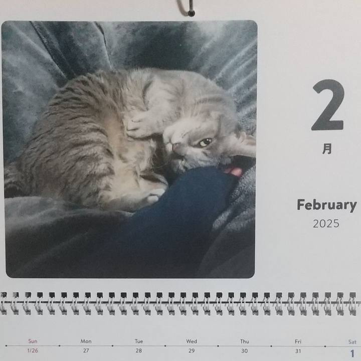 64c4d70c 4d41 436e b497 921170a04bb0 1738376121586