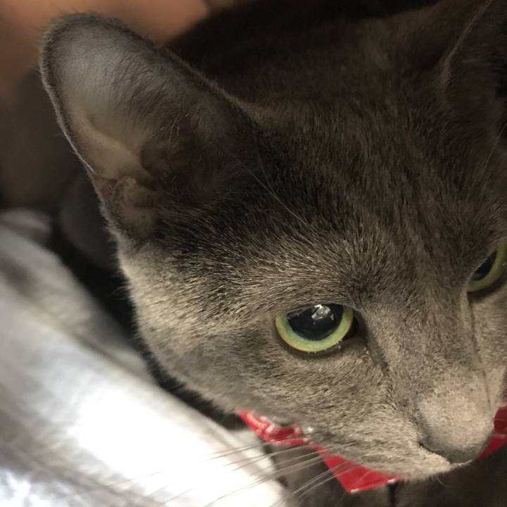 64c53686 930e 4c0e bd9f fbbe9045f626 1526862113929