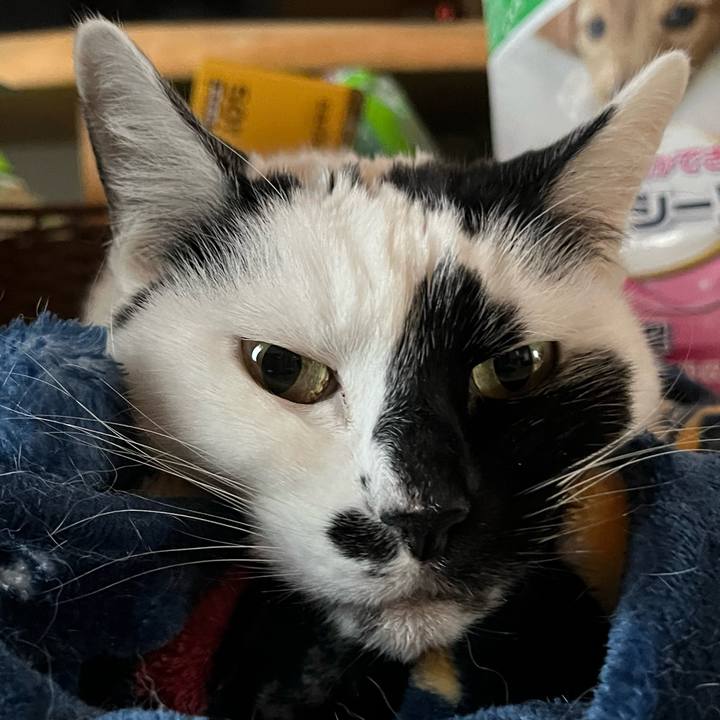 64c566da a78d 4ffc a008 5bb6d81ff911 1772804570543