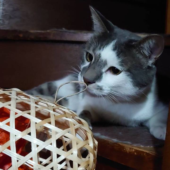 64c57182 7a6d 44f9 a106 1f47eff964d7 1726101080453