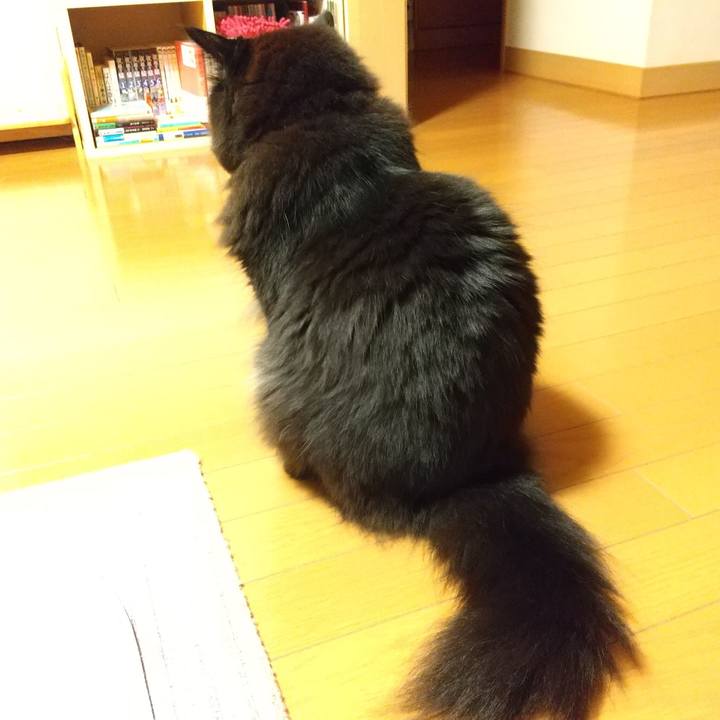 64c5be81 fbbd 42be 8e9b 7efc97c2cd5a 1622374990010