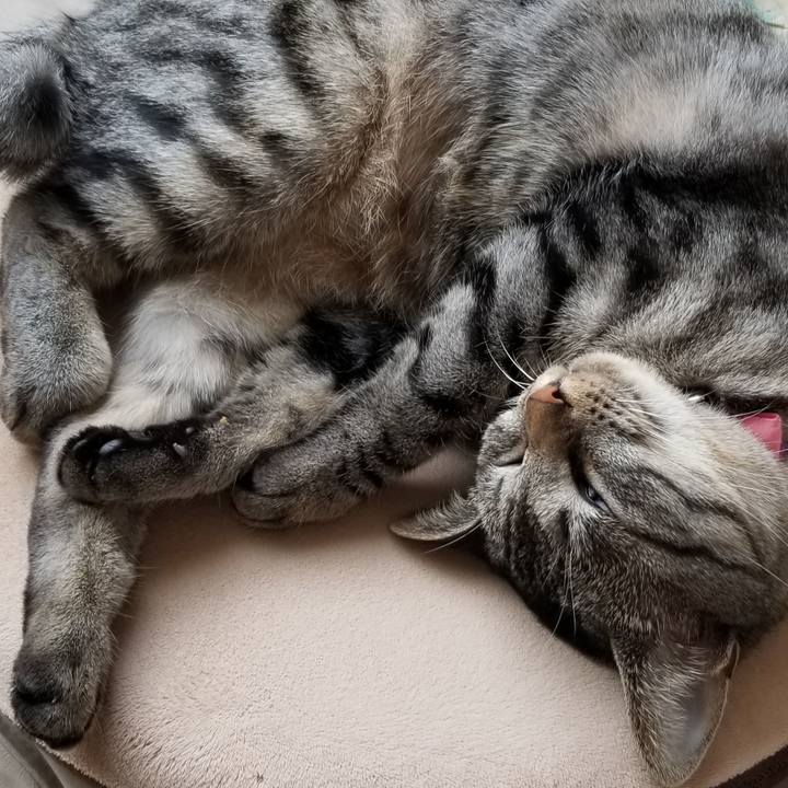 64c60a19 7325 452a b524 f91574e51b72 1686149157351