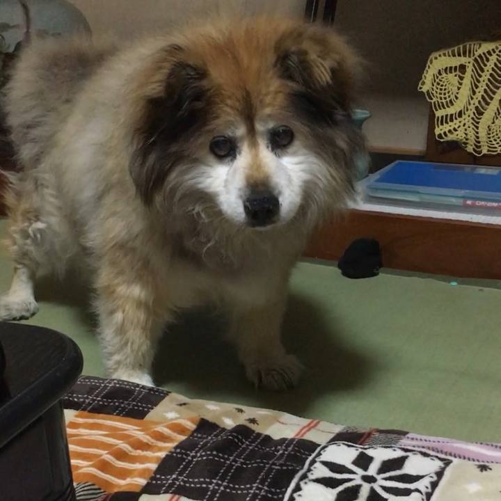 64c60e53 3f58 427c 9480 b420499bb539 1643275773355