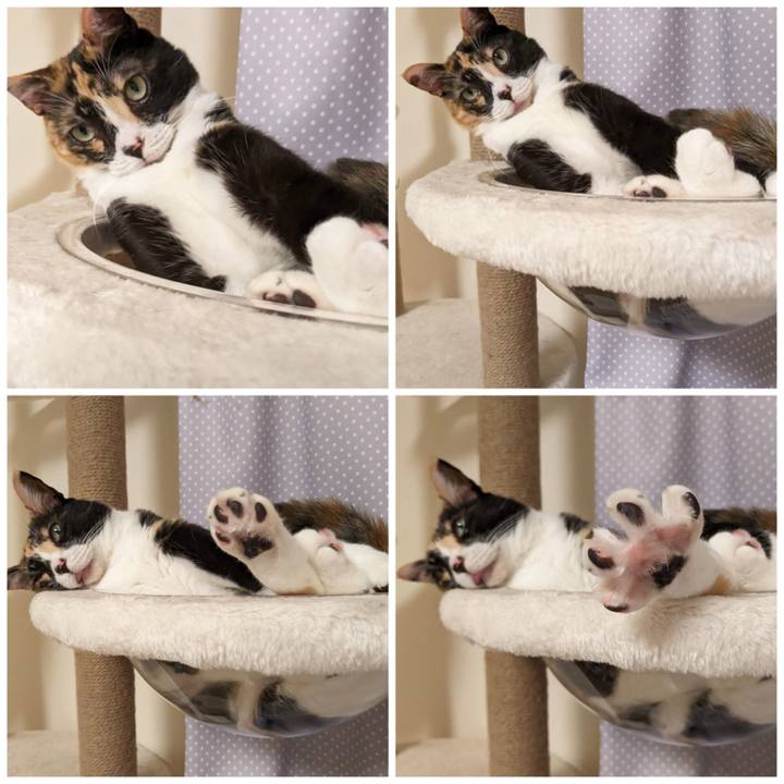 64c61849 957c 42f7 b8c2 1bdc8dd13e18 1687493638669