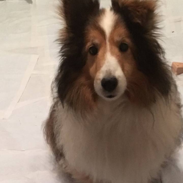 64c634bd 72d3 4387 809d 5d12b20c98ef 1742814661137