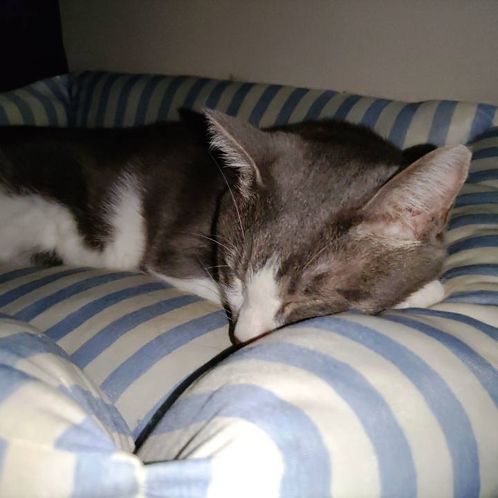 64c658b6 5408 4ea4 8bc4 5401aa2bb751 1662955002179