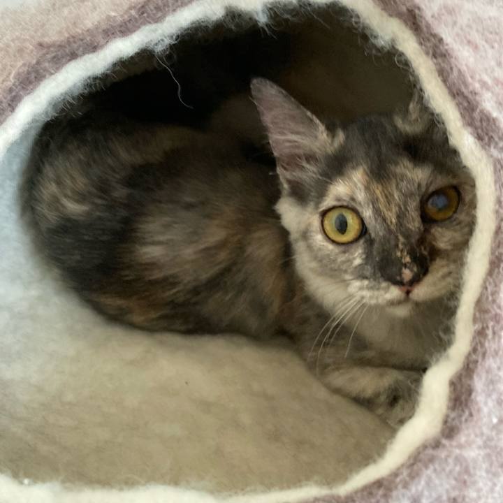 64c65f87 46bb 4b7e 8934 5cc2caaece11 1698886478913