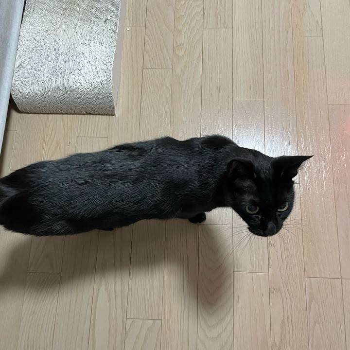 64c6613c 467a 4e98 b3e8 f1411fd17d5d 1764247876626