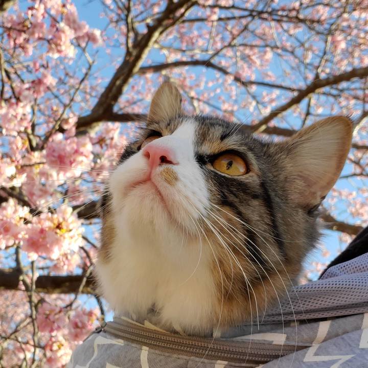 64c6b393 0ad9 4685 883e ca050a08d0b7 1646470726134