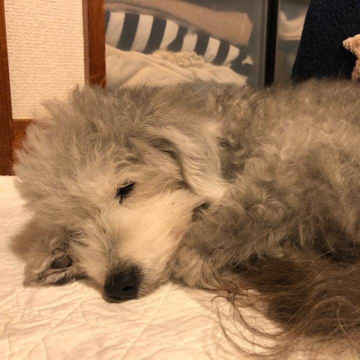 64c6e436 5f4a 4be8 a34c 5c7f831027d0 1594988192460