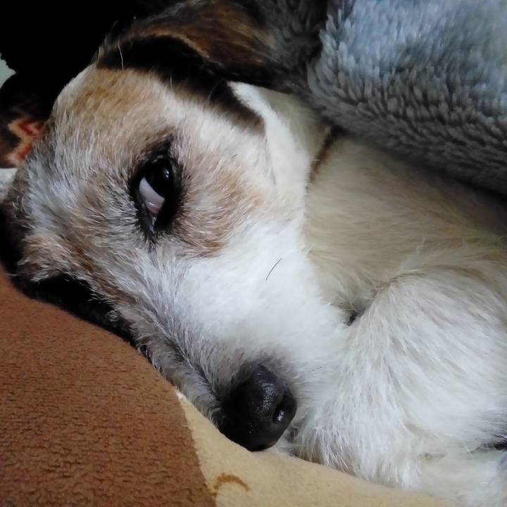 64c6f88c e182 4a99 9a61 2c80d11c65df 1546086516157