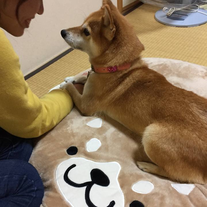 64c70c98 bbe4 4331 adc2 65223c7caf40 1510323576903