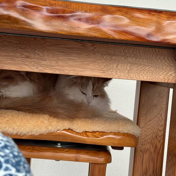 64c71aca a42a 42c0 b934 308f7fdc7478 1766808262412