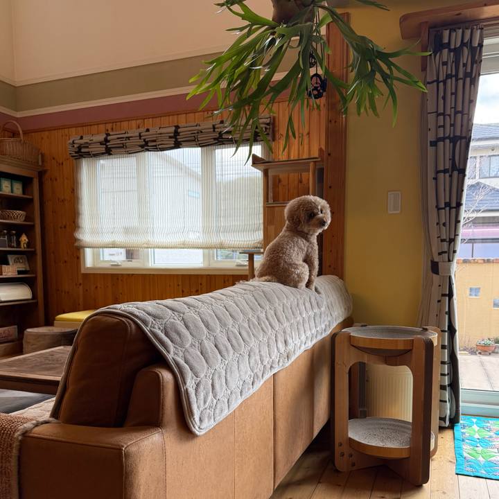 64c752b3 f624 48cf a856 f174f78a6bea 1767570418304