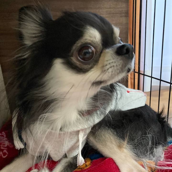 64c77823 a00a 4ba9 9138 4db39ee3dbfe 1669183494229