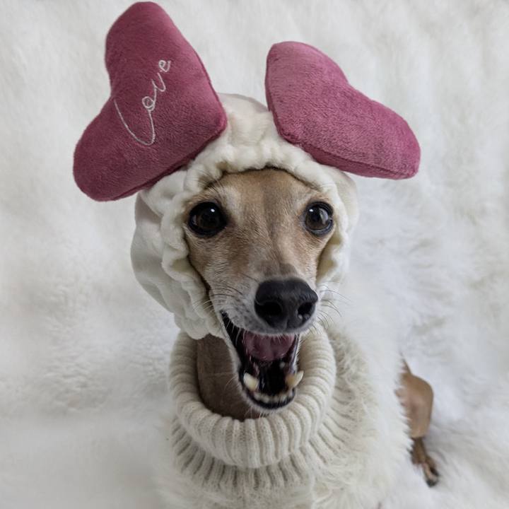 64c791fa 2c94 4f7d b831 e3f33e4e5272 1771164456383