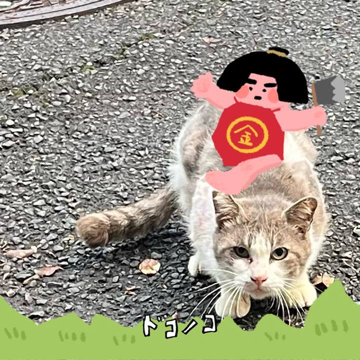 64c79300 154c 43c2 9d13 f58081e053c5 1779424119393