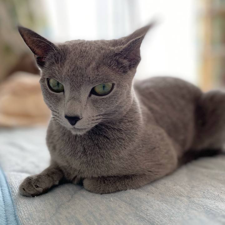 64c79545 4de6 49f8 aa87 2d327a01589d 1643768113468