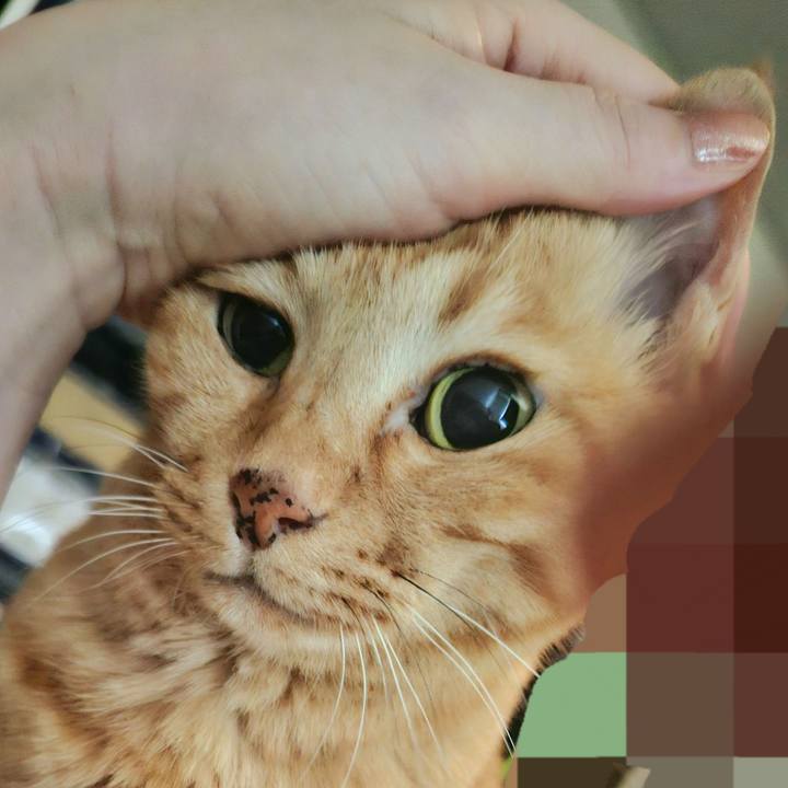 64c7a5b2 544e 4374 ae4f f2da69af3ffb 1755042181780