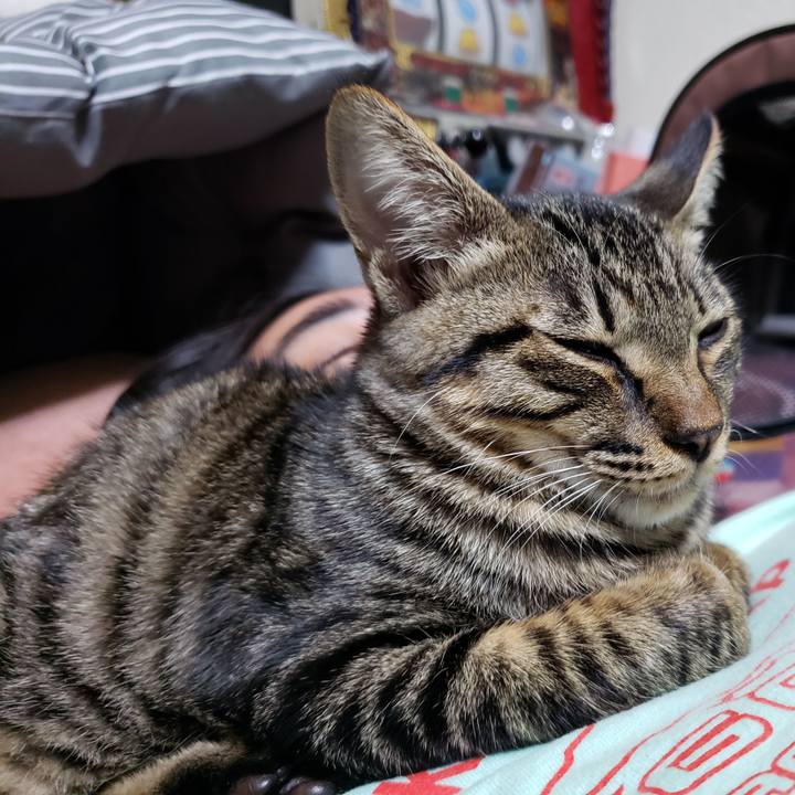 64c7aba8 4960 49b7 a4b7 4dcd3f596d8e 1541941960114