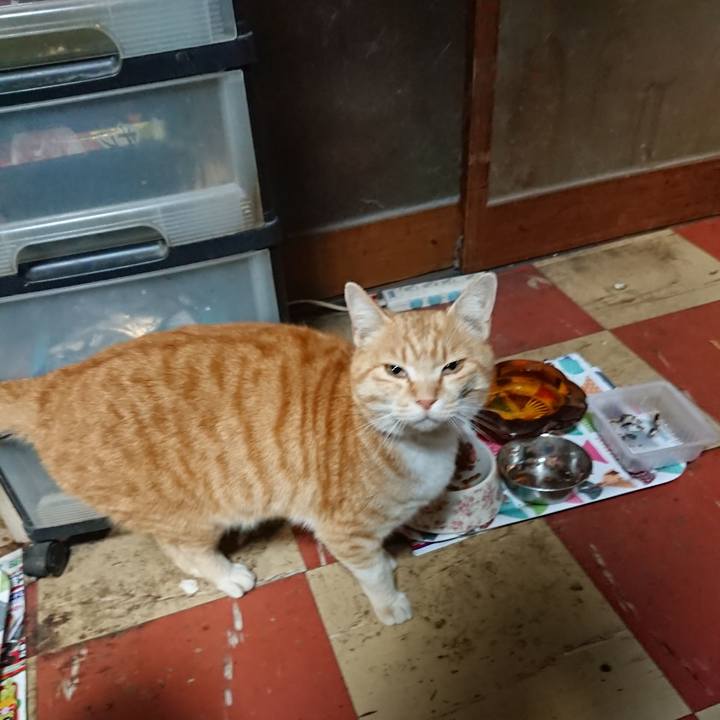 64c7da78 8524 4263 b59d f49dcd687e67 1586948143520