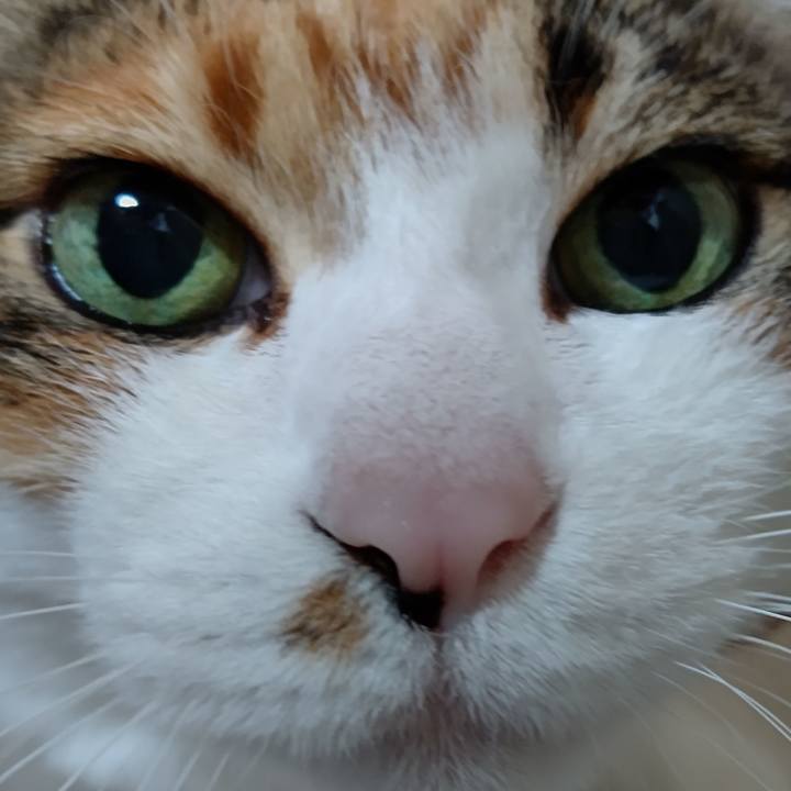 64c7e0ad 65d2 4963 a518 f8a302a319f0 1619851030720