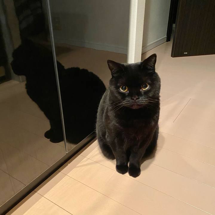 64c81a43 dde7 4d2e 95f4 57a6a1dc4bfd 1767705132731