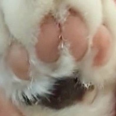 64c81fad 887d 41dd b3fa 2efda86dbbea 1763519457213