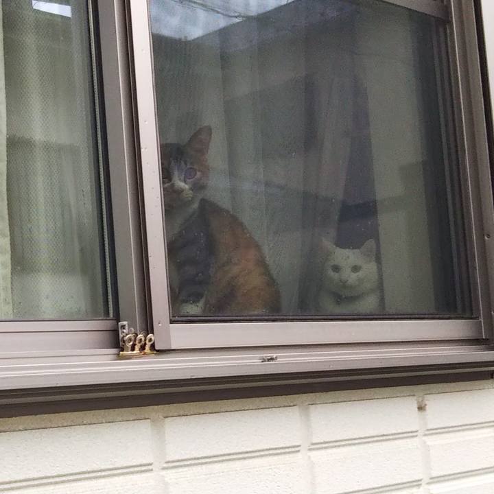 64c821bd f9b9 4093 932e d74cefe886df 1660355009307