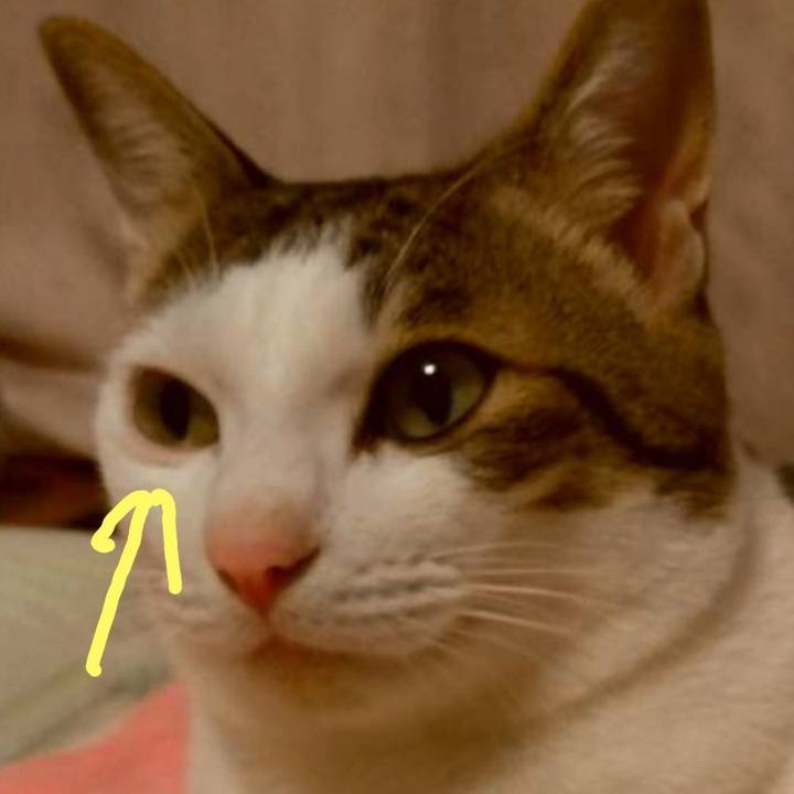 64c85cfb 4701 4e60 881a c65cd7614fe8 1698235737848