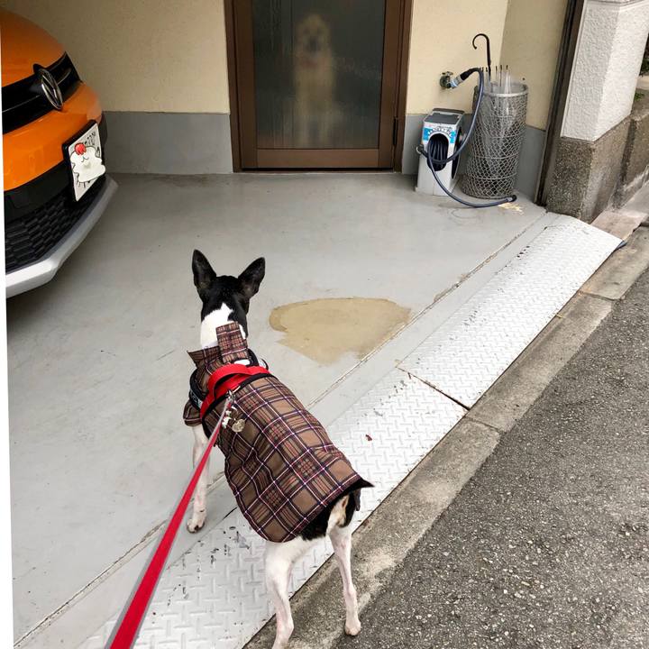 64c86eb3 d463 4e05 a3bc e9e87d4047b1 1551741614924