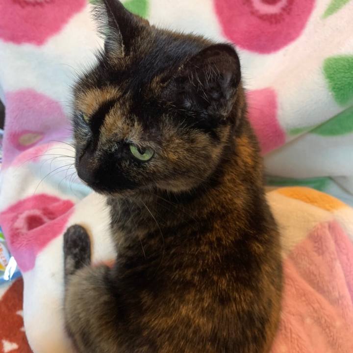 64c86f4d dd19 47bd aa05 9a563da8511b 1579826436782