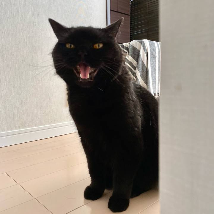 64c88887 3c58 4ce6 b447 7b41d308c268 1751093279495