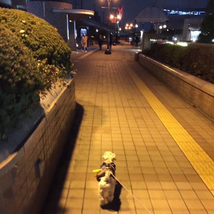 64c8ae6a 6728 4b57 82b1 991a3f41ead2 1516360562018