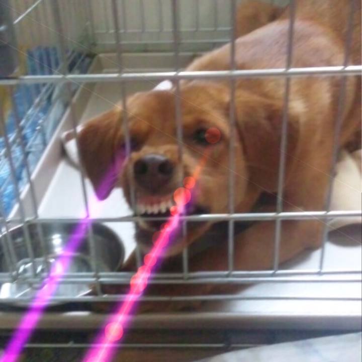 64c8d08f 546f 44da 8015 09f56c8a56d3 1522543278630