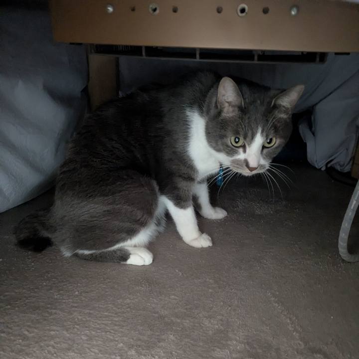 64c8ec59 3af9 435f 852f fa058ec938a8 1769393987943