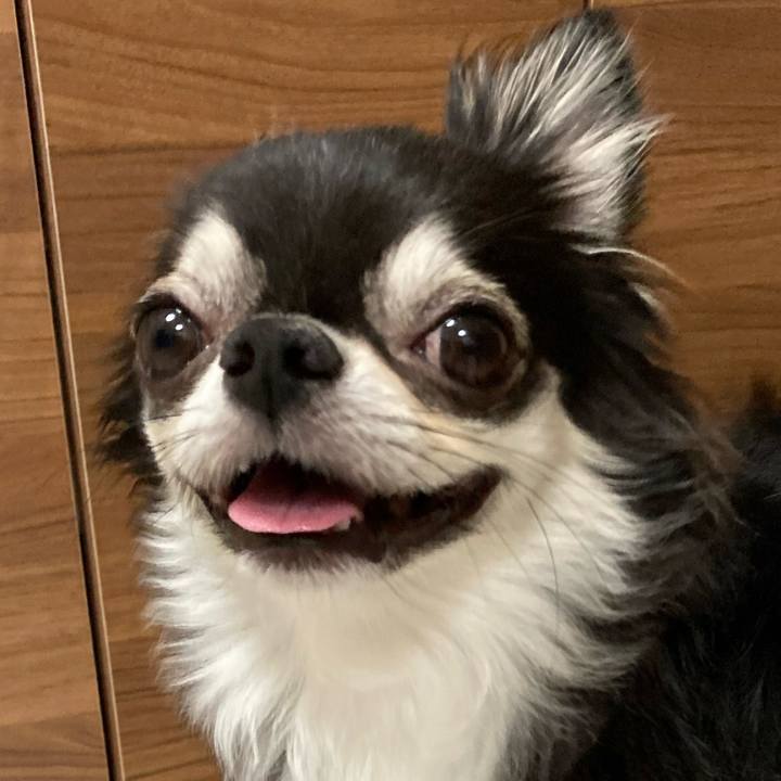 64c91906 86ab 4706 b083 ff1c0947d447 1659879079697