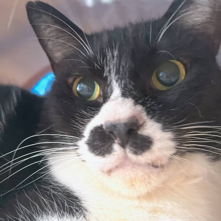 64c93b49 b1f4 4f95 ae80 2c3b64ce3864 1685145413245