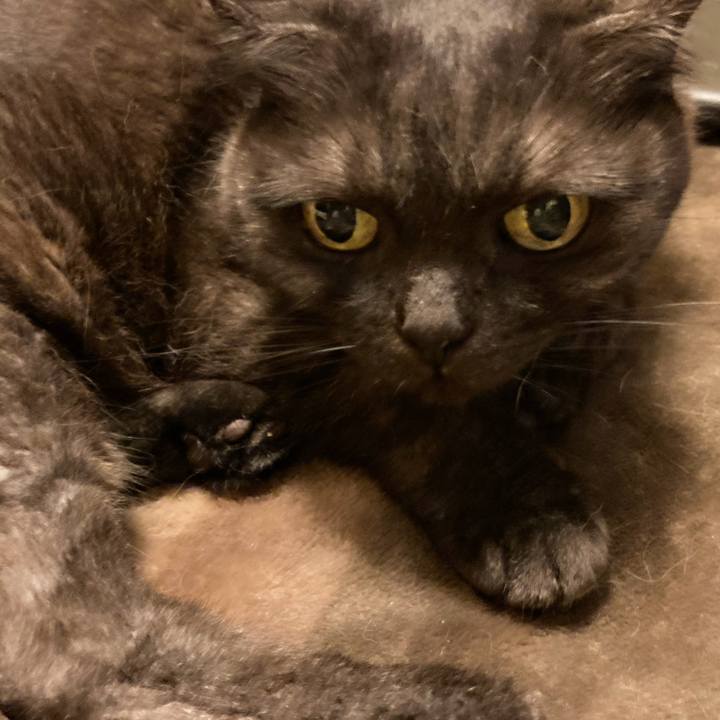 64c94fc6 43a8 49ec 9cde 0516b6e20bf3 1592497051492