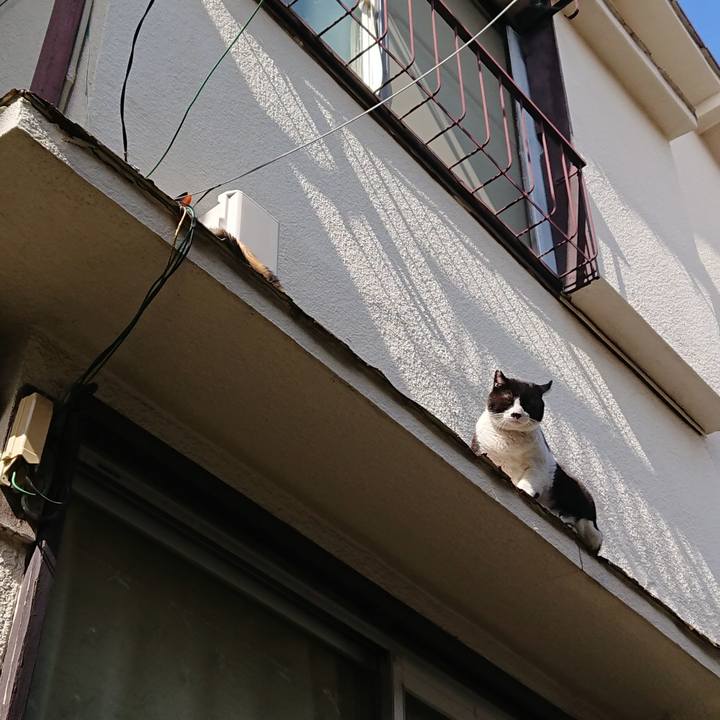 64c95776 965f 49c2 abdf 04c87aadbec8 1558496399700