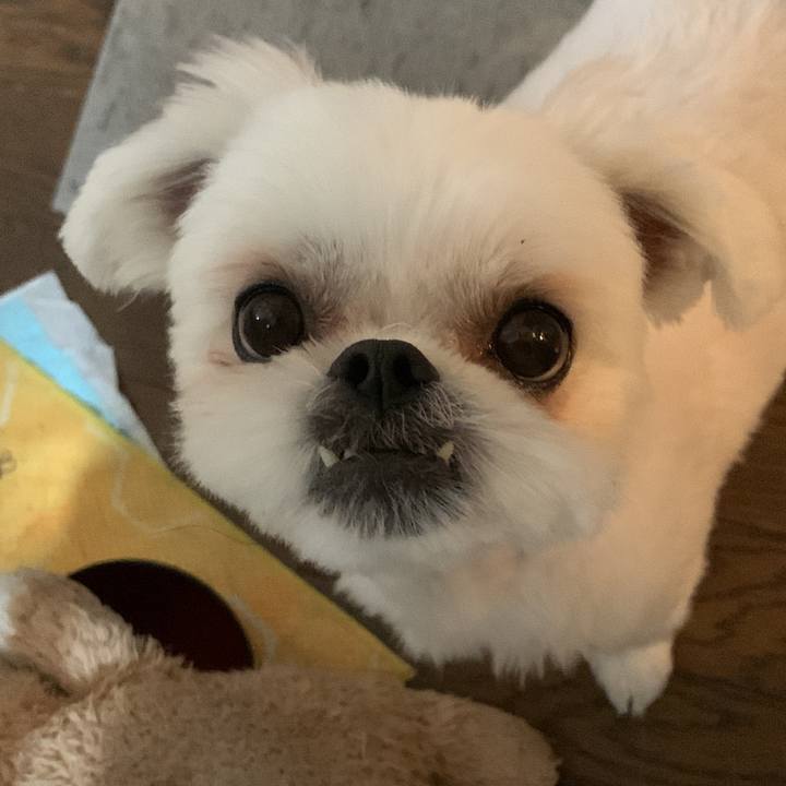 64c957e1 fd98 40a4 be61 39ee75702ac5 1681559807181