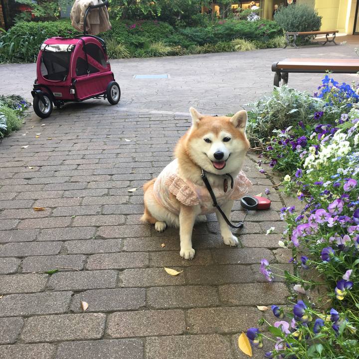 64c96665 f1c2 4a9a 8eb8 2687595b5f74 1563189266347