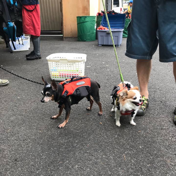 64c98633 c144 426e a8bf 32fafa11a0bc 1565509930794